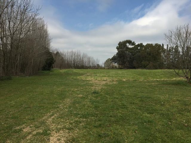 place photo 66