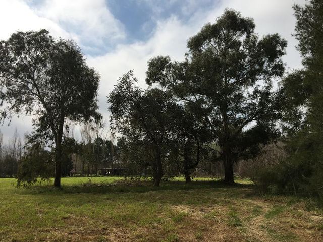 place photo 60
