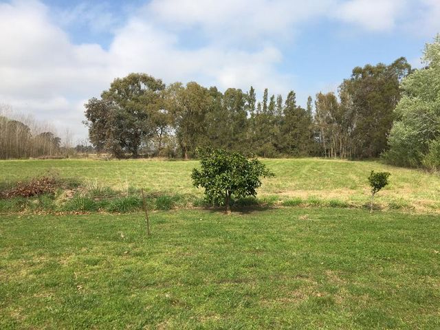 place photo 41