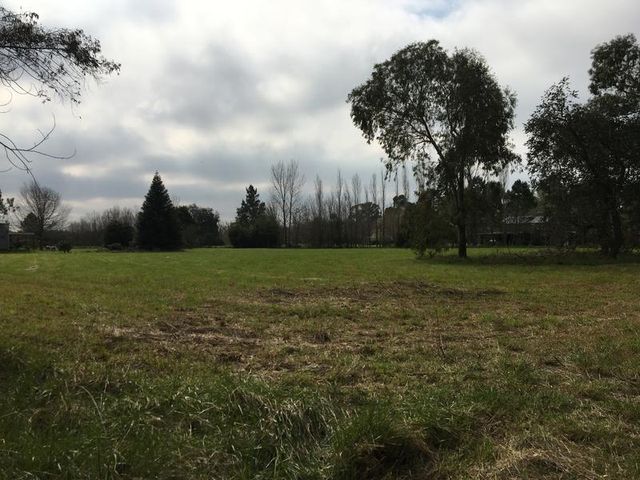 place photo 56