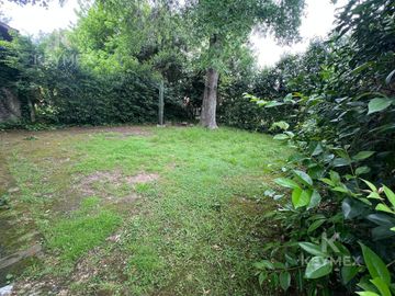 place photo 44