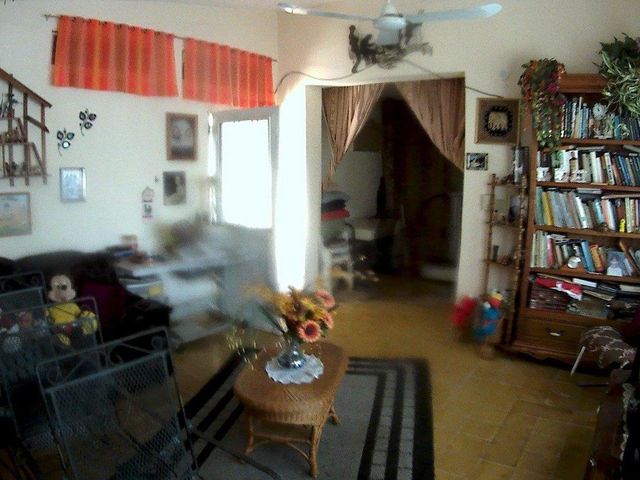 place photo 42