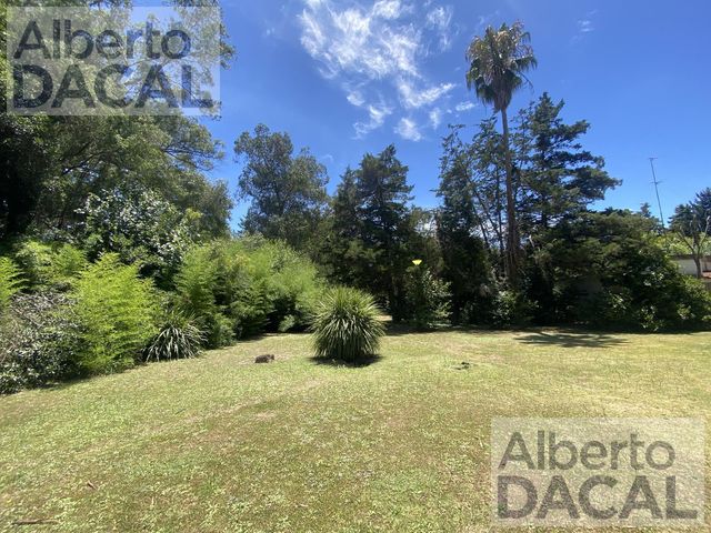 place photo 38