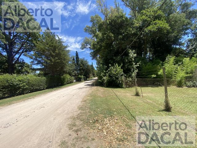 place photo 40