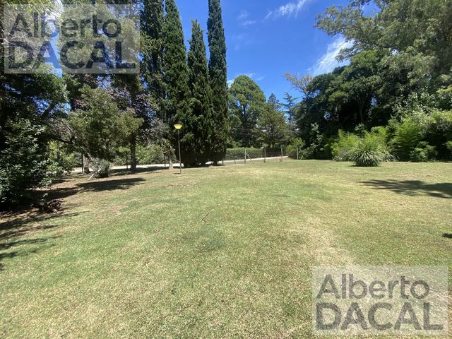 place photo 33