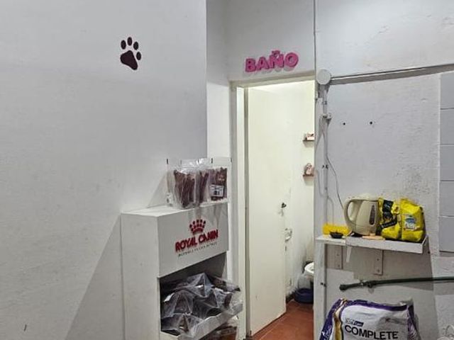 place photo 26