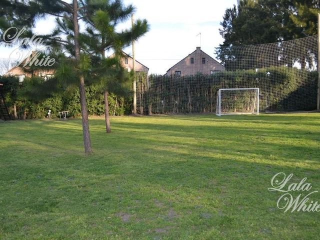 place photo 23