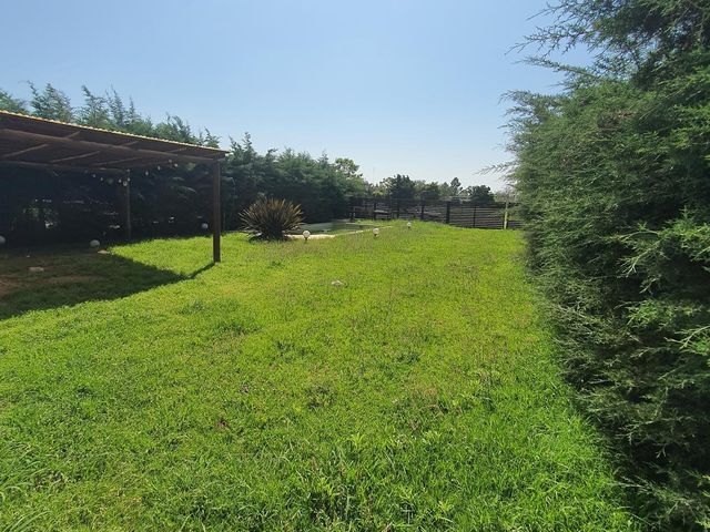 place photo 40
