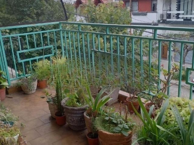 place photo 54