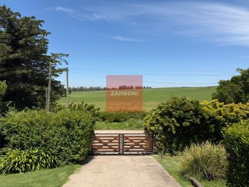place photo 17