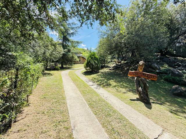 place photo 42