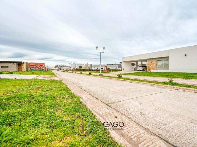 place photo 45