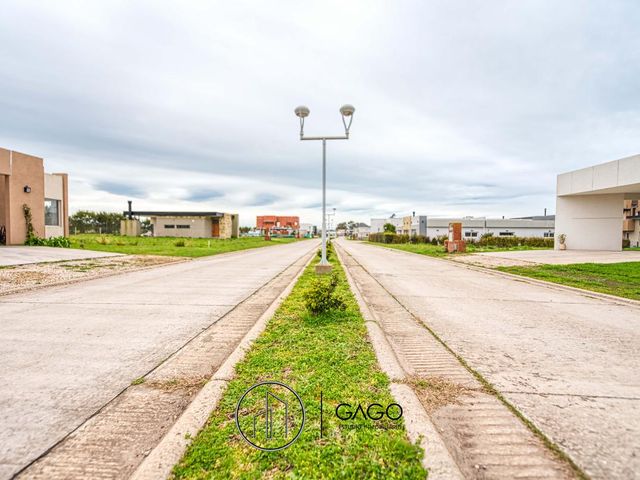 place photo 44