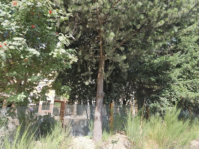 place photo 47