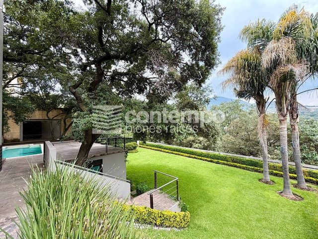 place photo 36