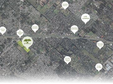 place photo 37