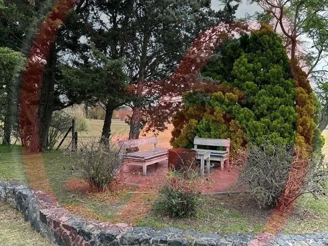 place photo 38