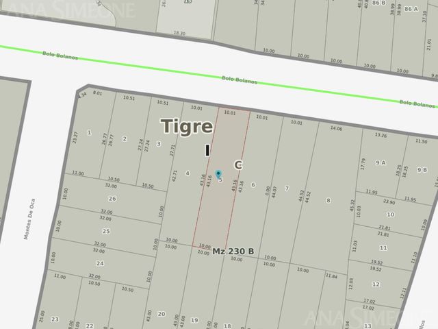 place photo 16