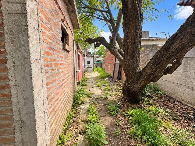 place photo 22