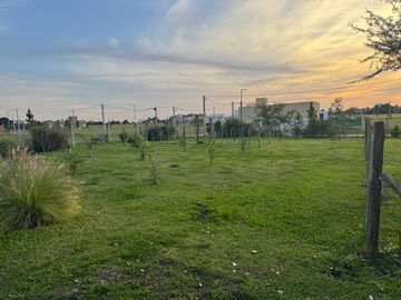 place photo 22