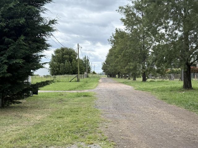place photo 19