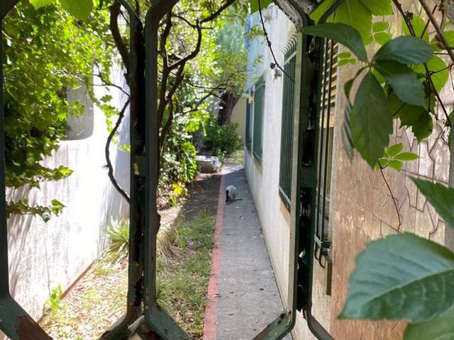 place photo 26