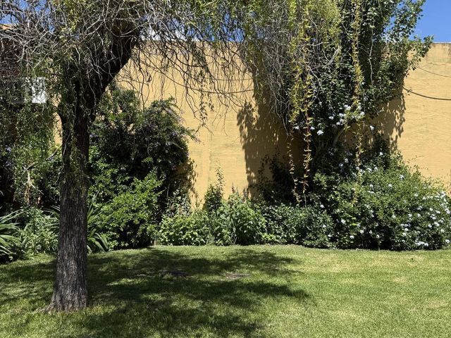 place photo 38