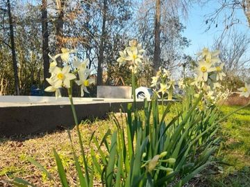 place photo 42