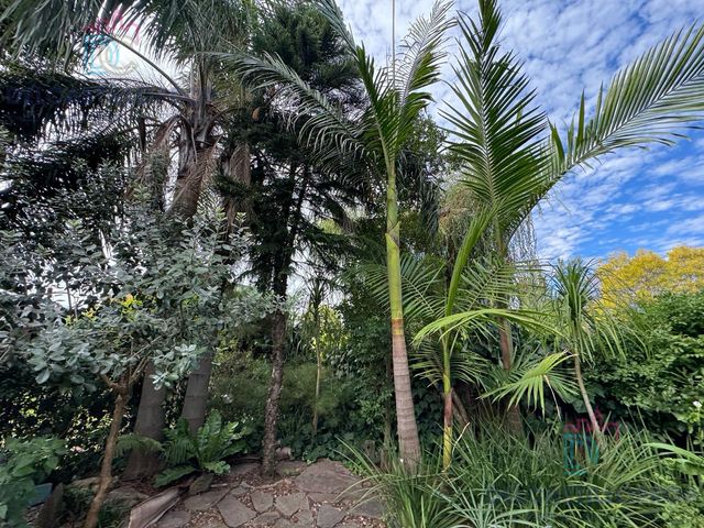 place photo 67