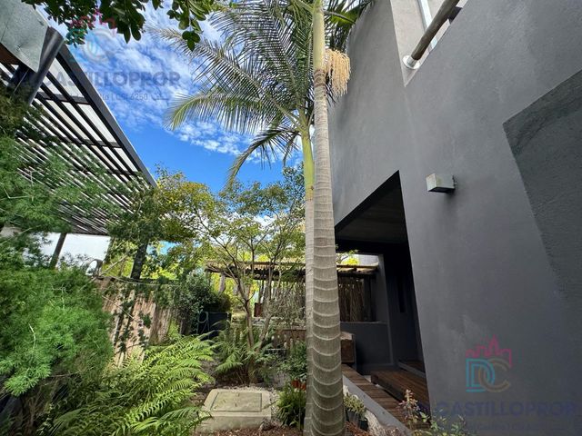 place photo 62