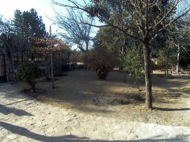 place photo 40