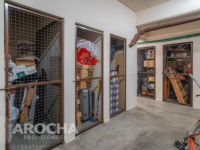 place photo 46