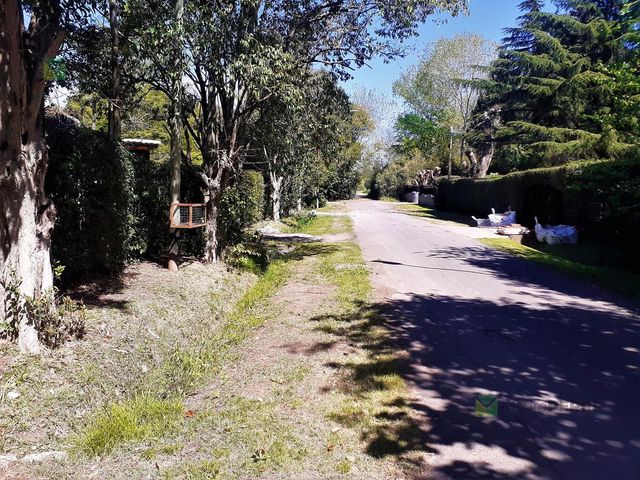 place photo 51