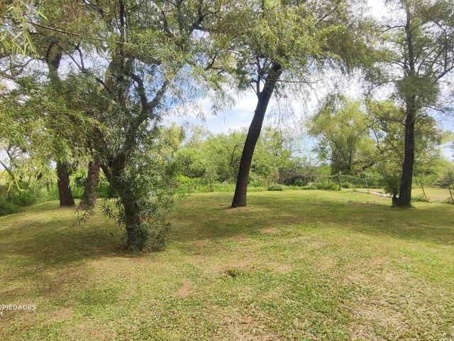 place photo 40