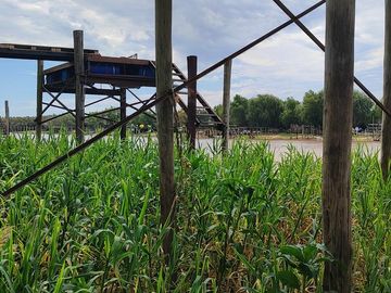 place photo 44