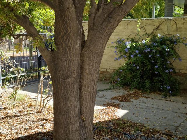 place photo 38