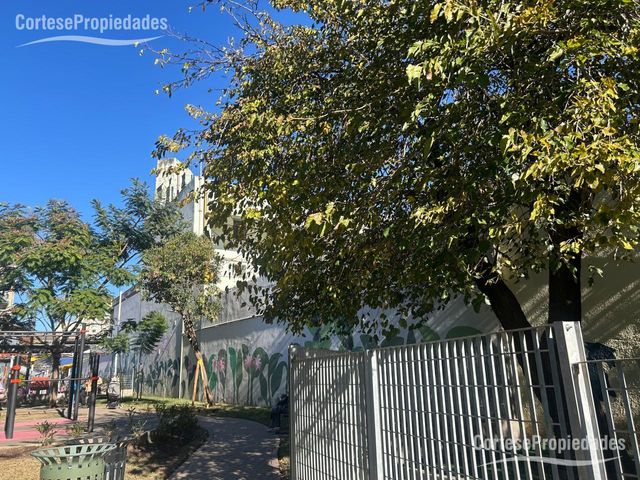 place photo 49
