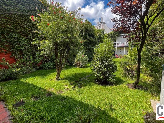 place photo 41