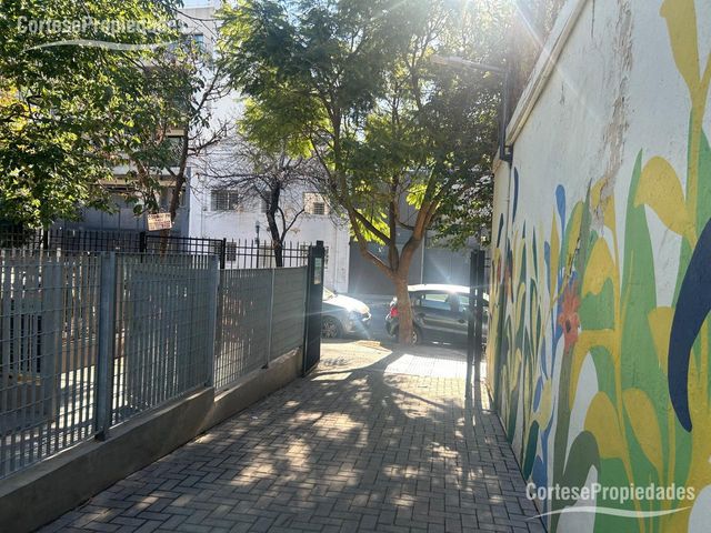 place photo 47