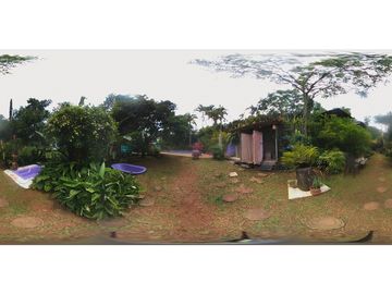 place photo 49