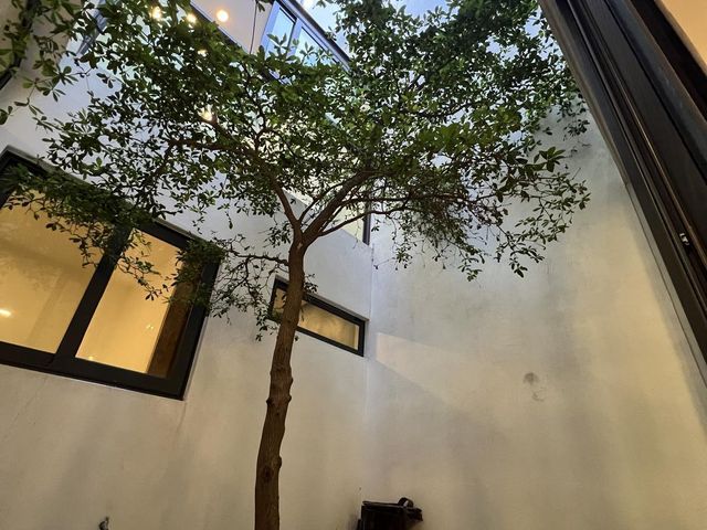 place photo 52