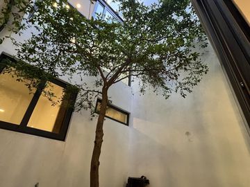 place photo 52