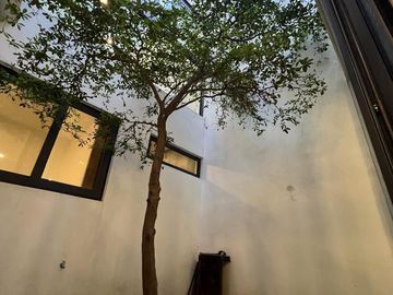 place photo 36