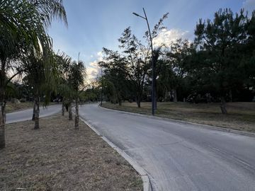 place photo 58