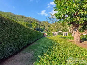 place photo 45