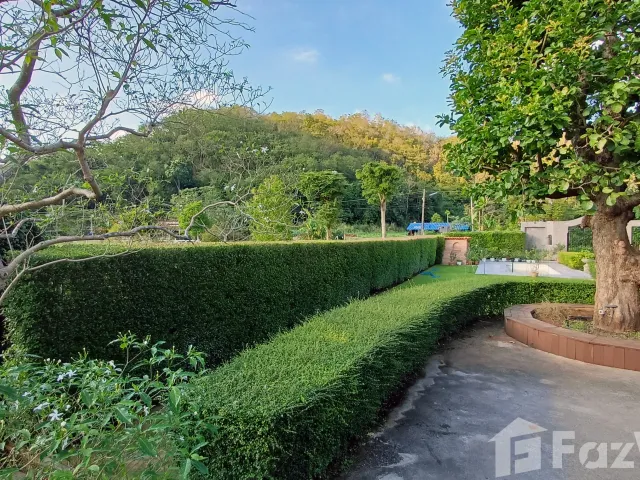 place photo 42