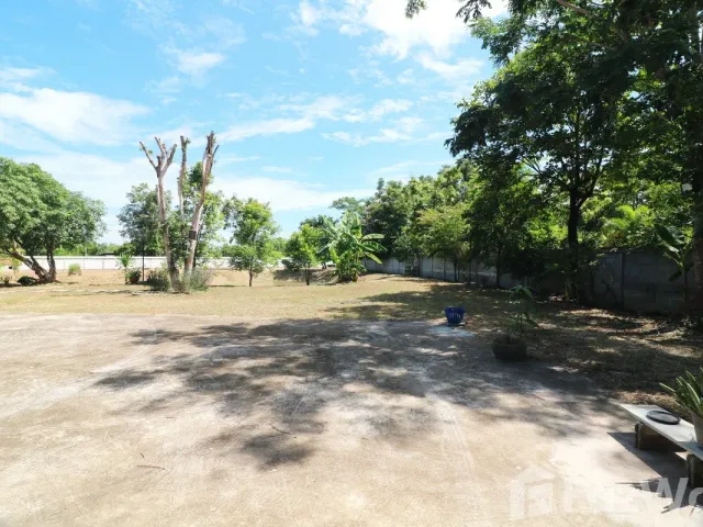 place photo 44