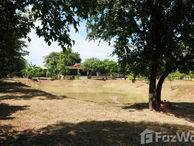 place photo 48