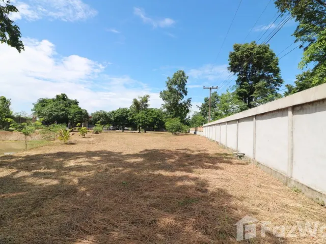 place photo 49