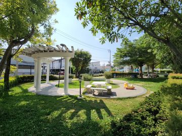 place photo 35
